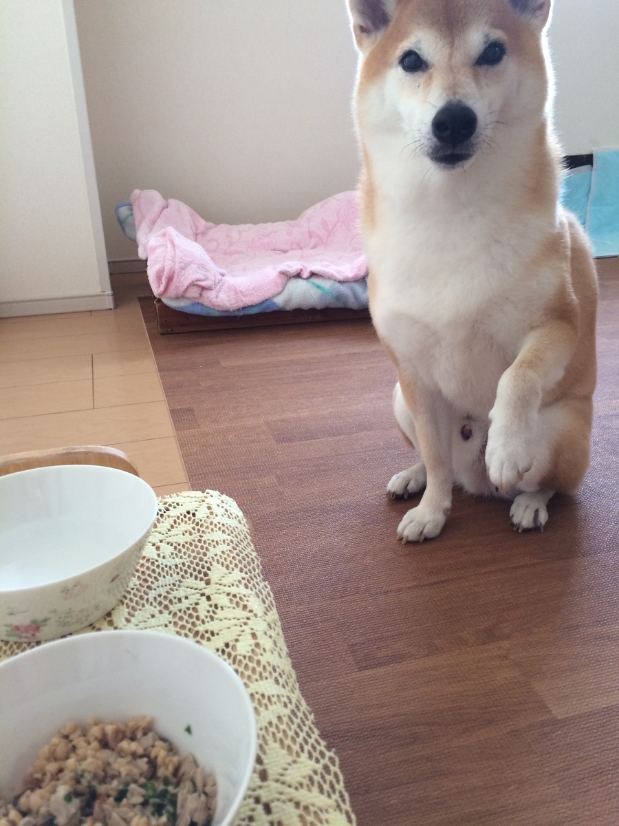 f:id:zechio:20200915213249j:plain f:id:zechio:20200915213249j:plain