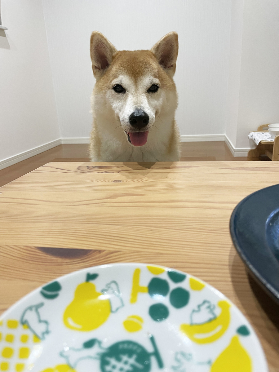 笑う犬