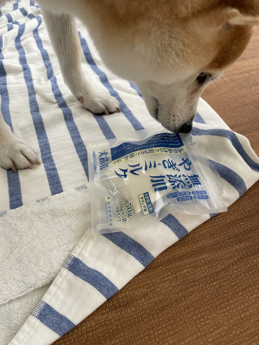 ヤギミルクと柴犬