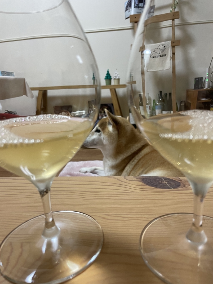 ワインと犬