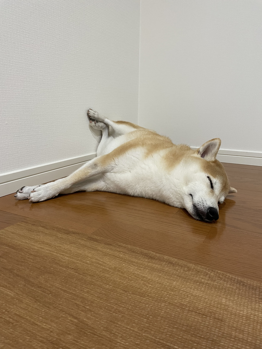 眠る犬