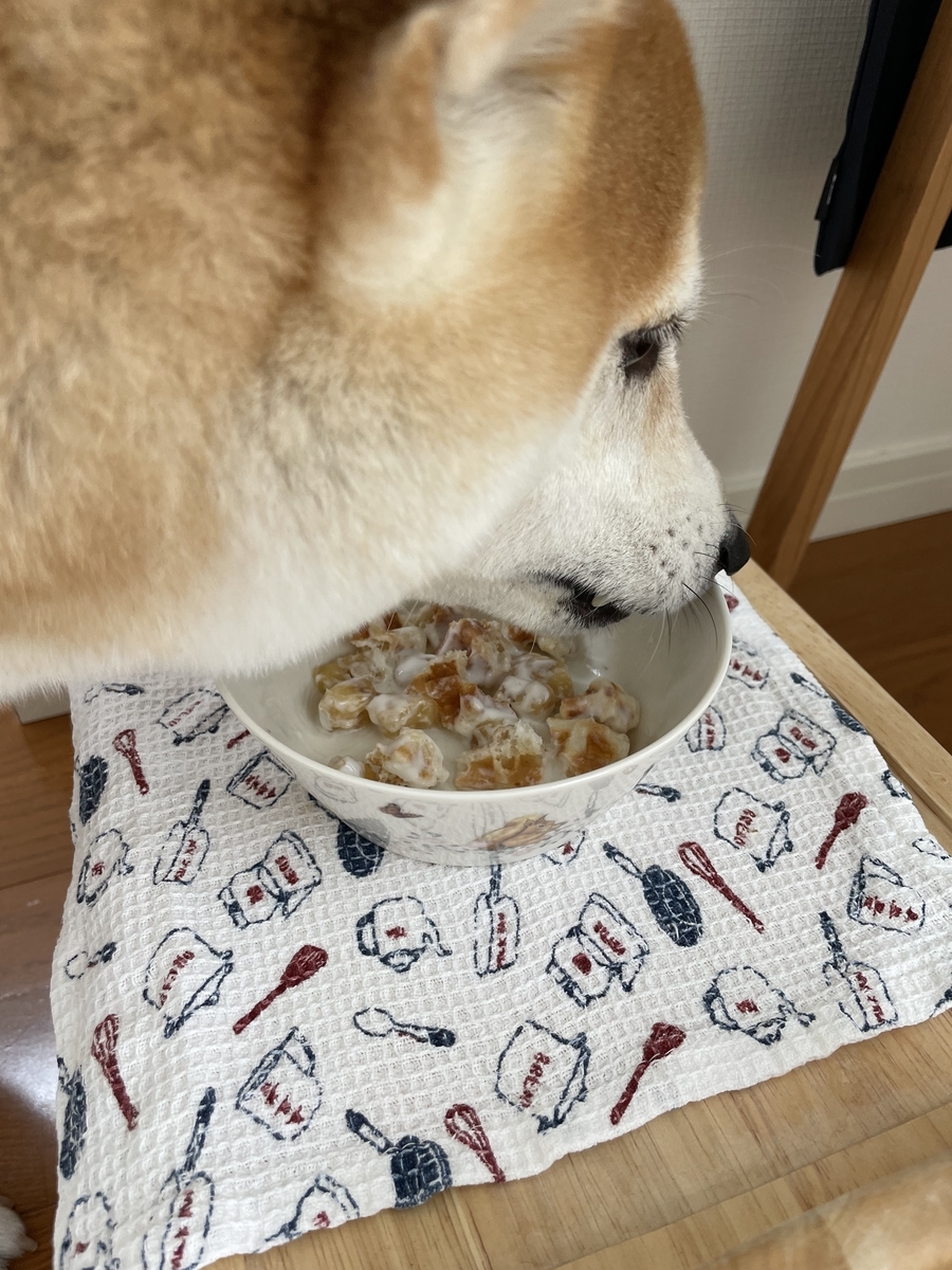 おやつを食べる犬