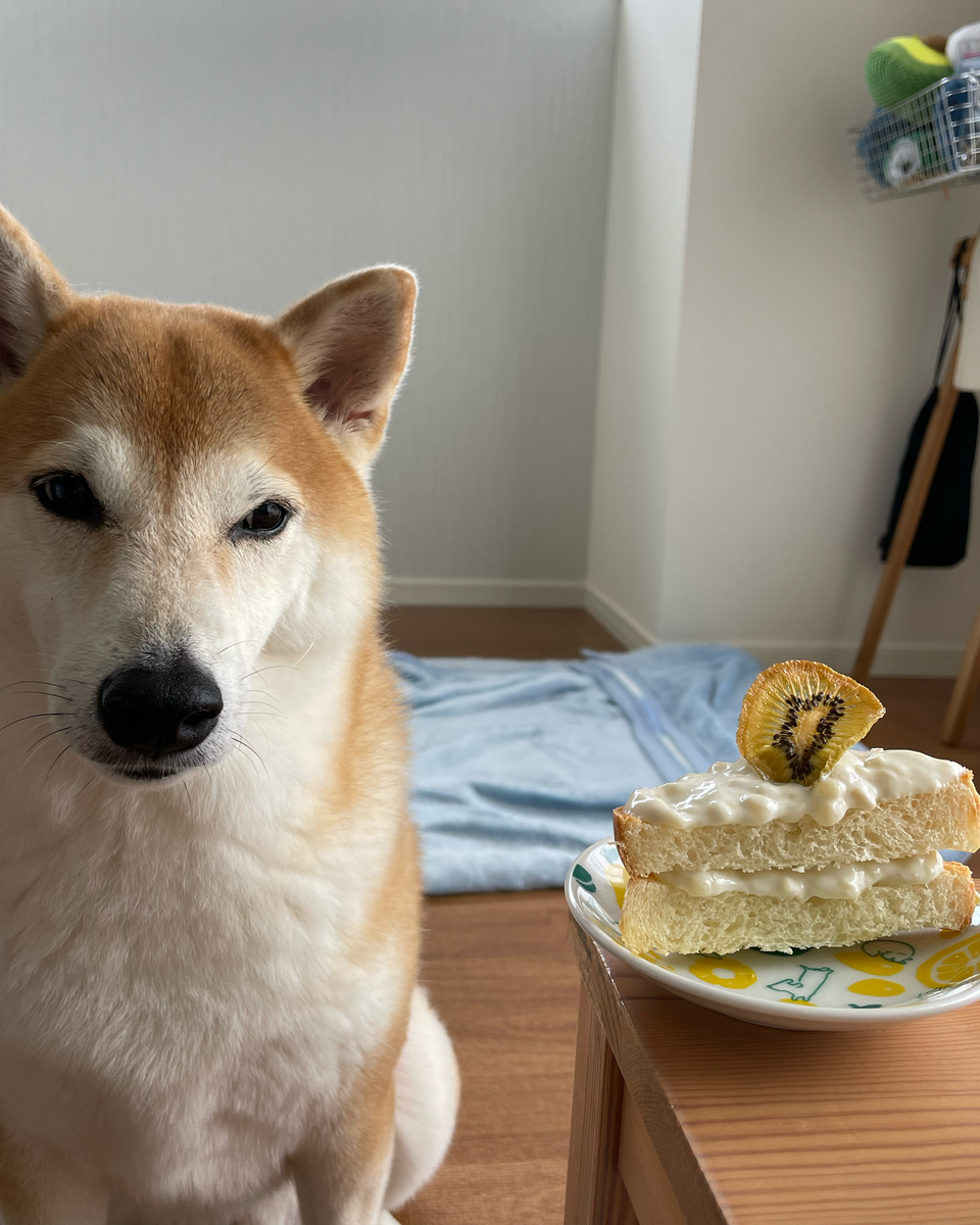 犬とケーキ