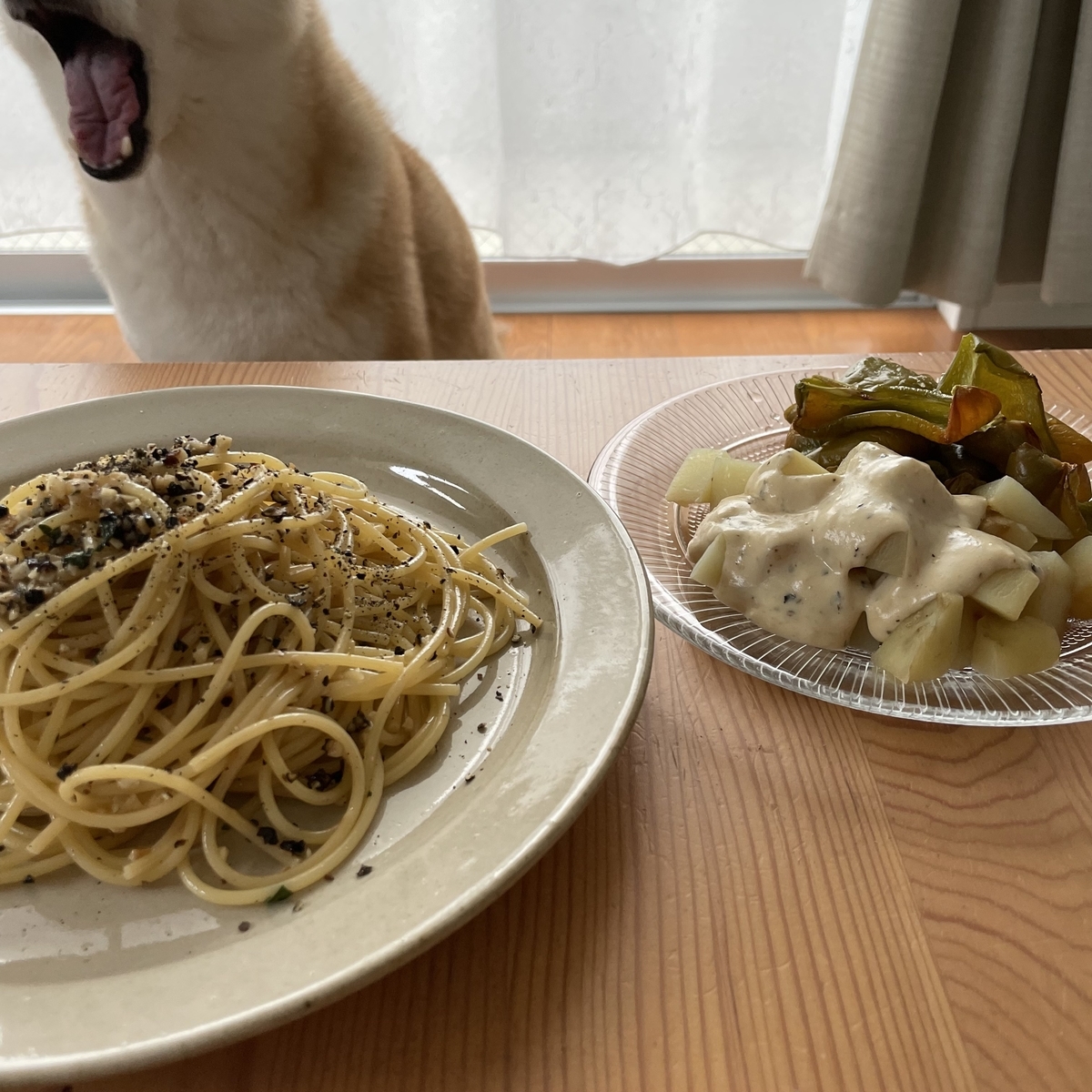 犬とご飯。