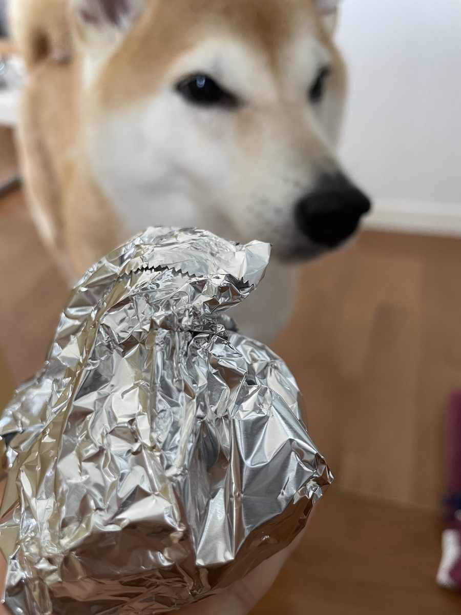 ホイル焼きと犬