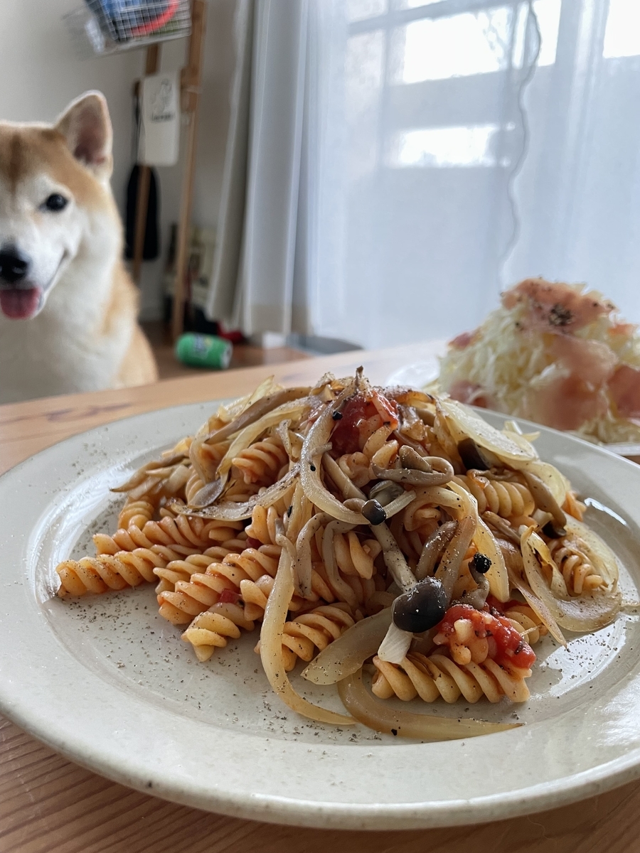 パスタとサラダと犬