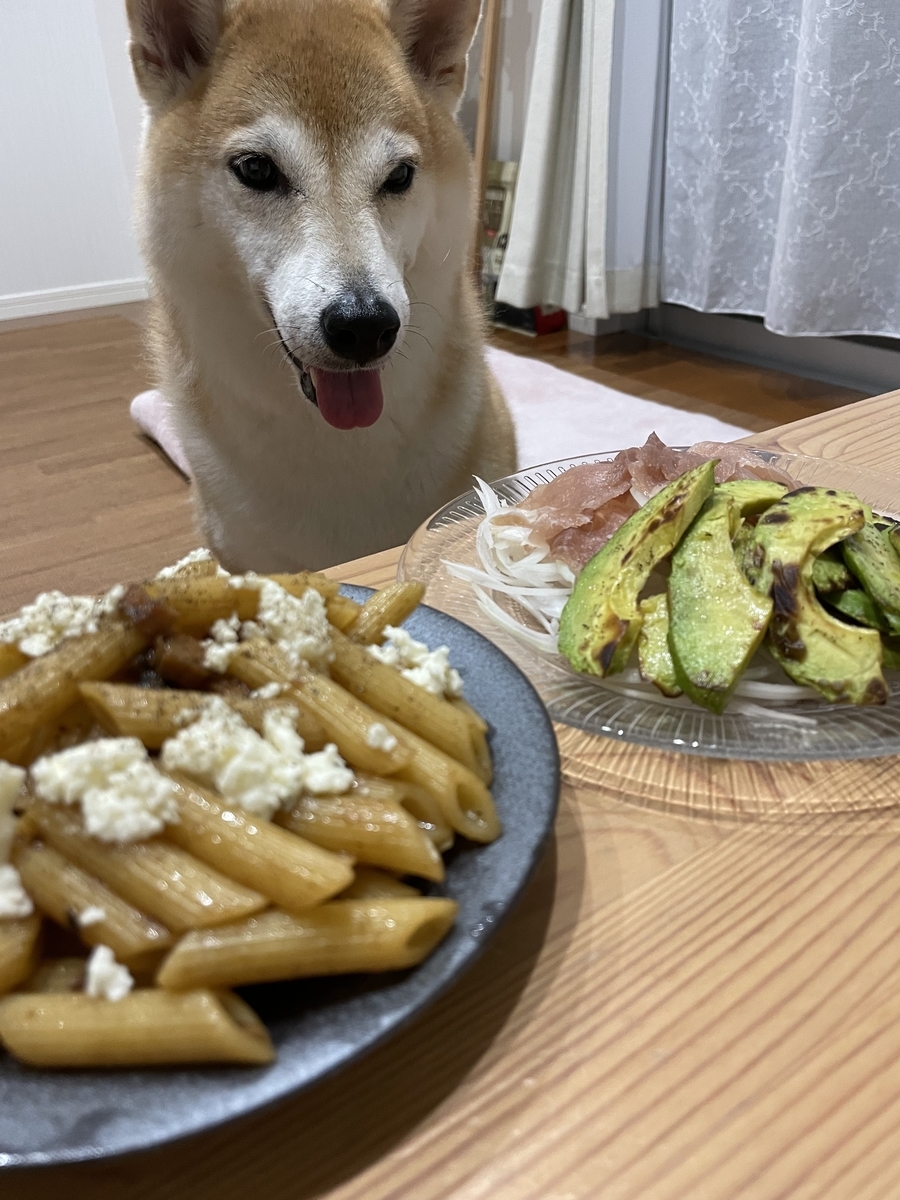 食べ物と犬