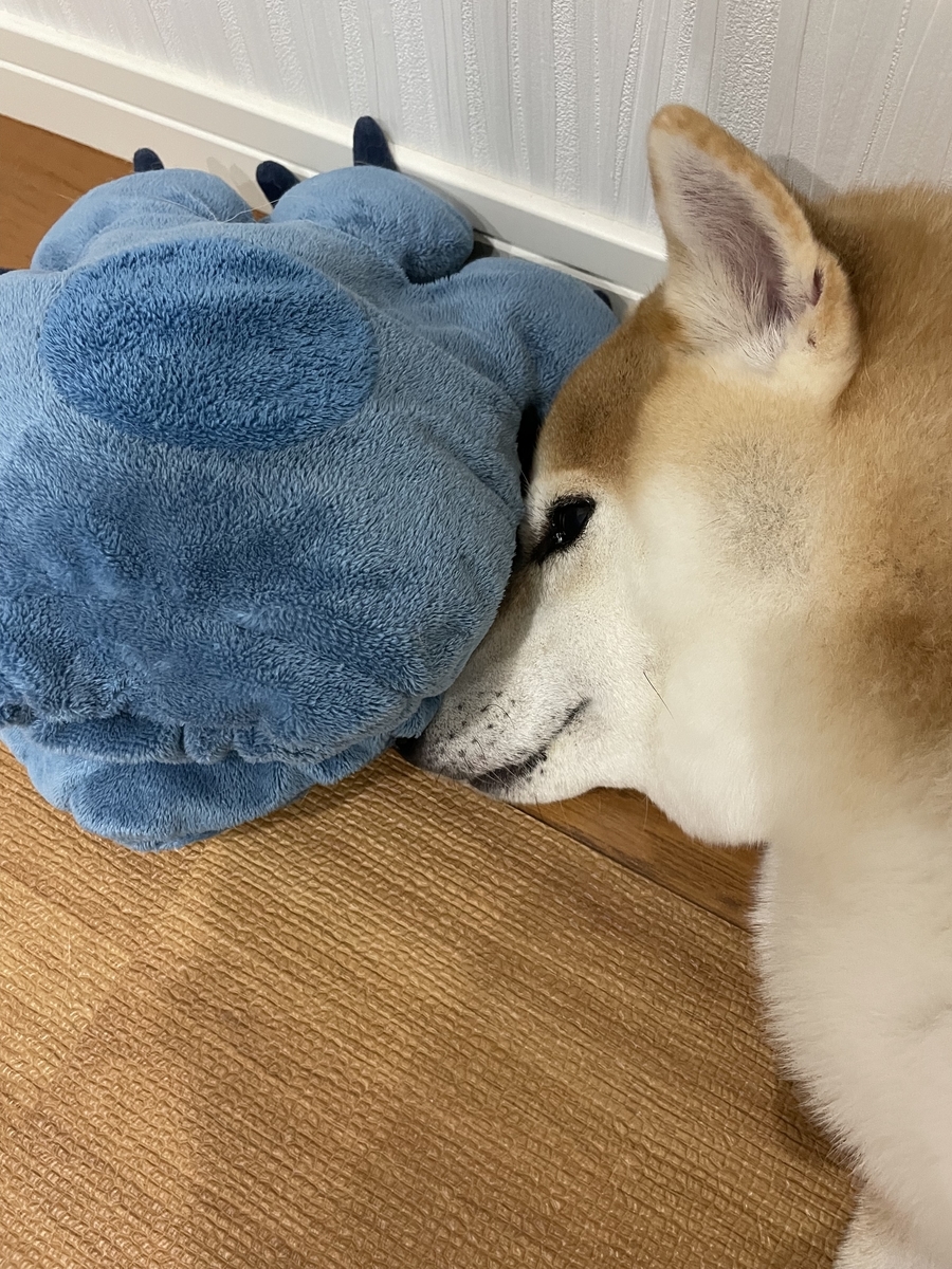 眠る犬