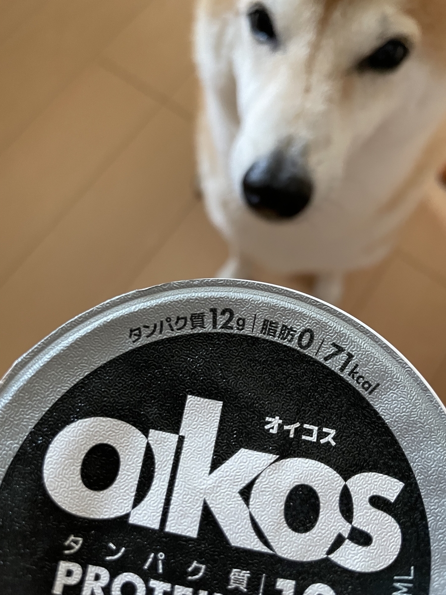 ヨーグルトと犬