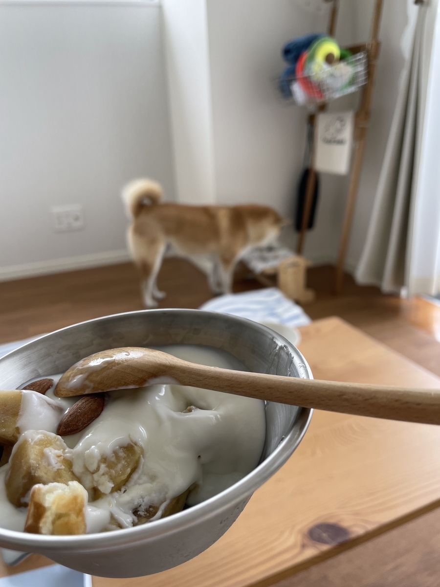 おやつを食べる犬
