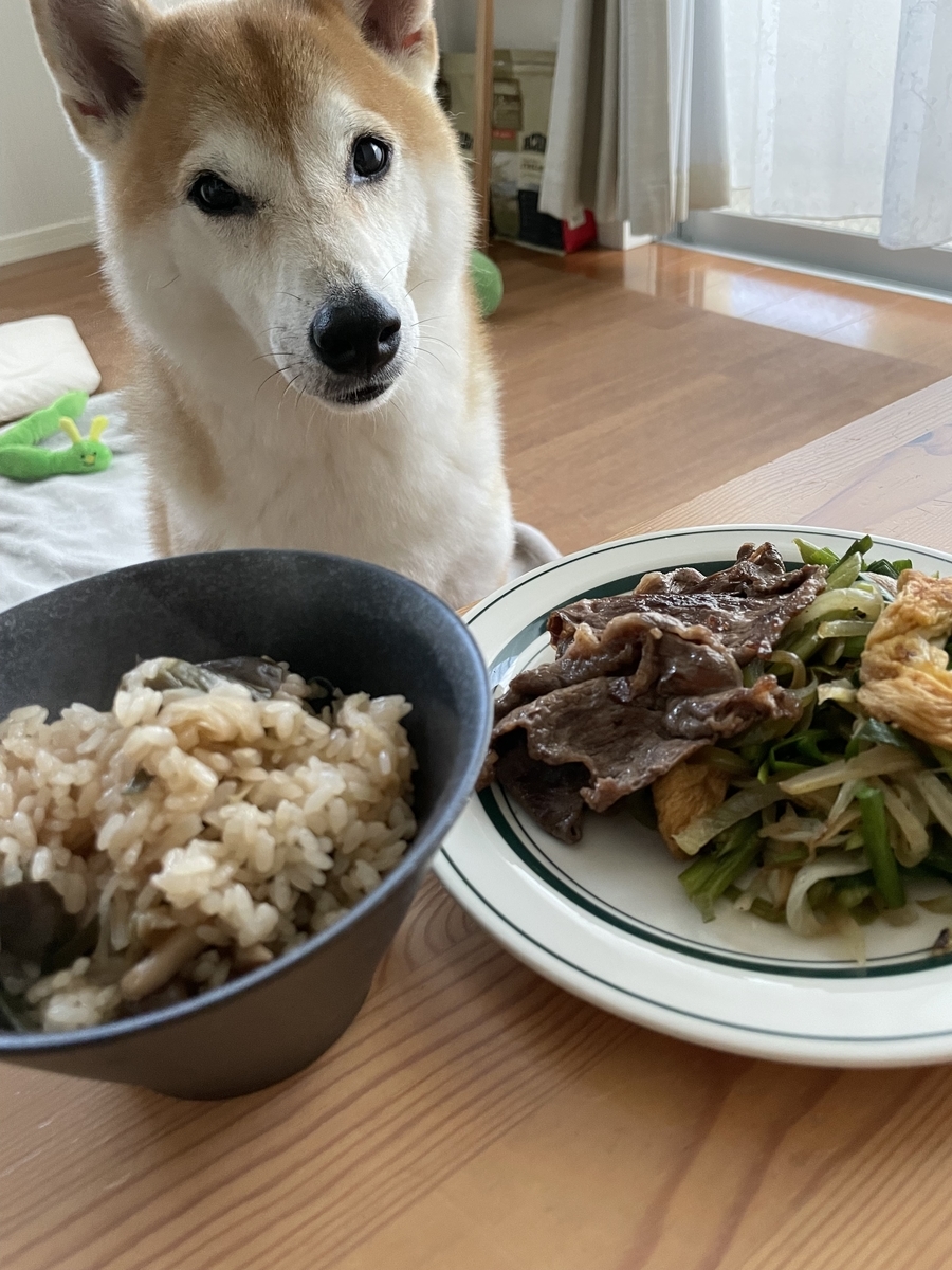 食卓と犬