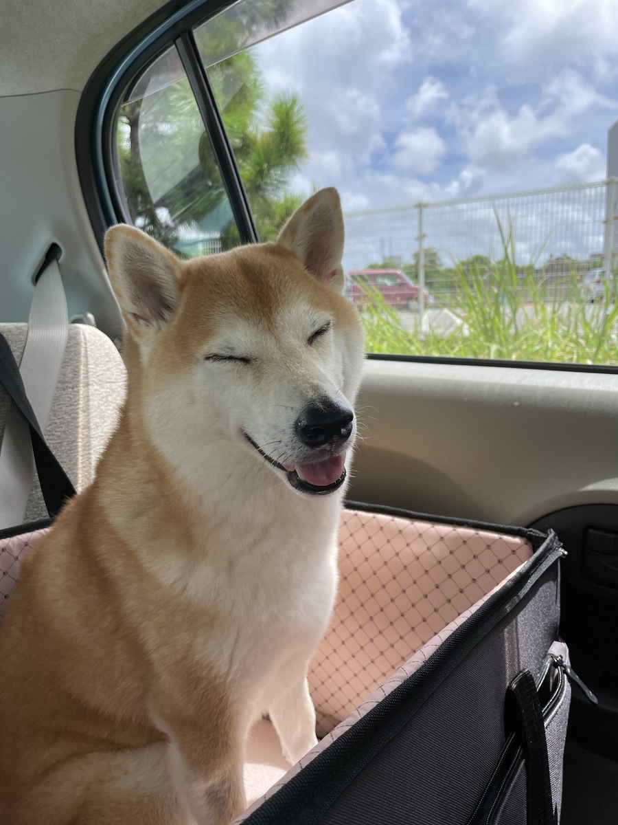 笑う犬