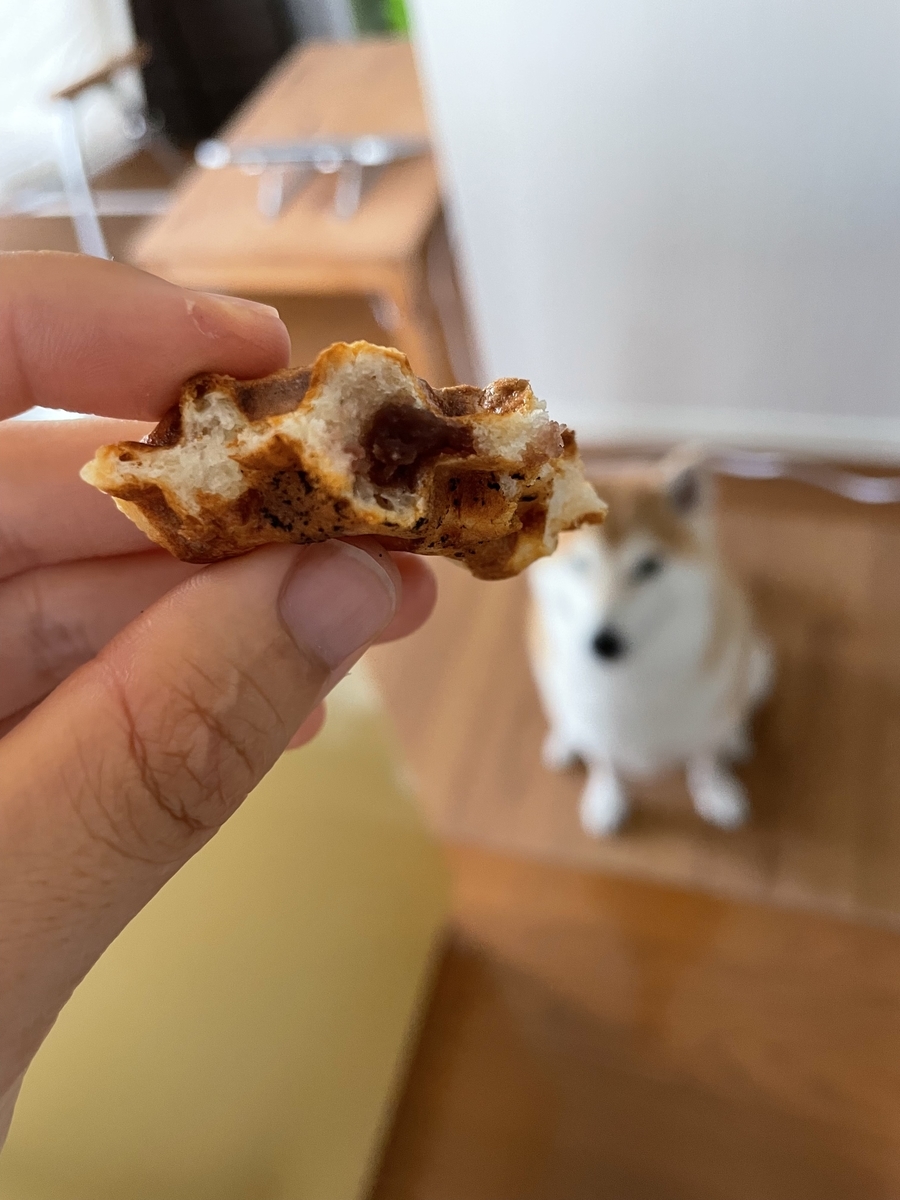 おやつを狙う犬