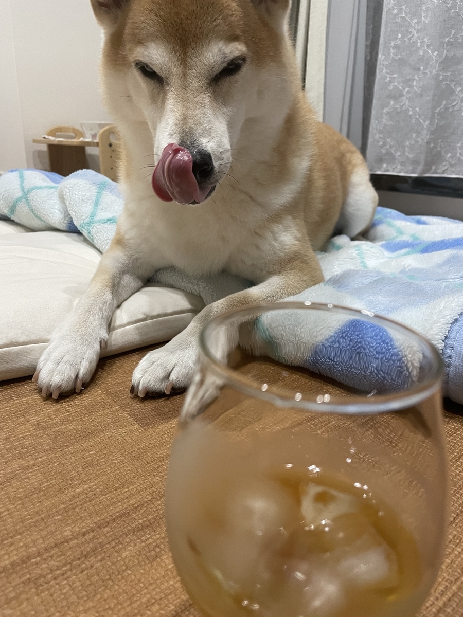 犬とお酒