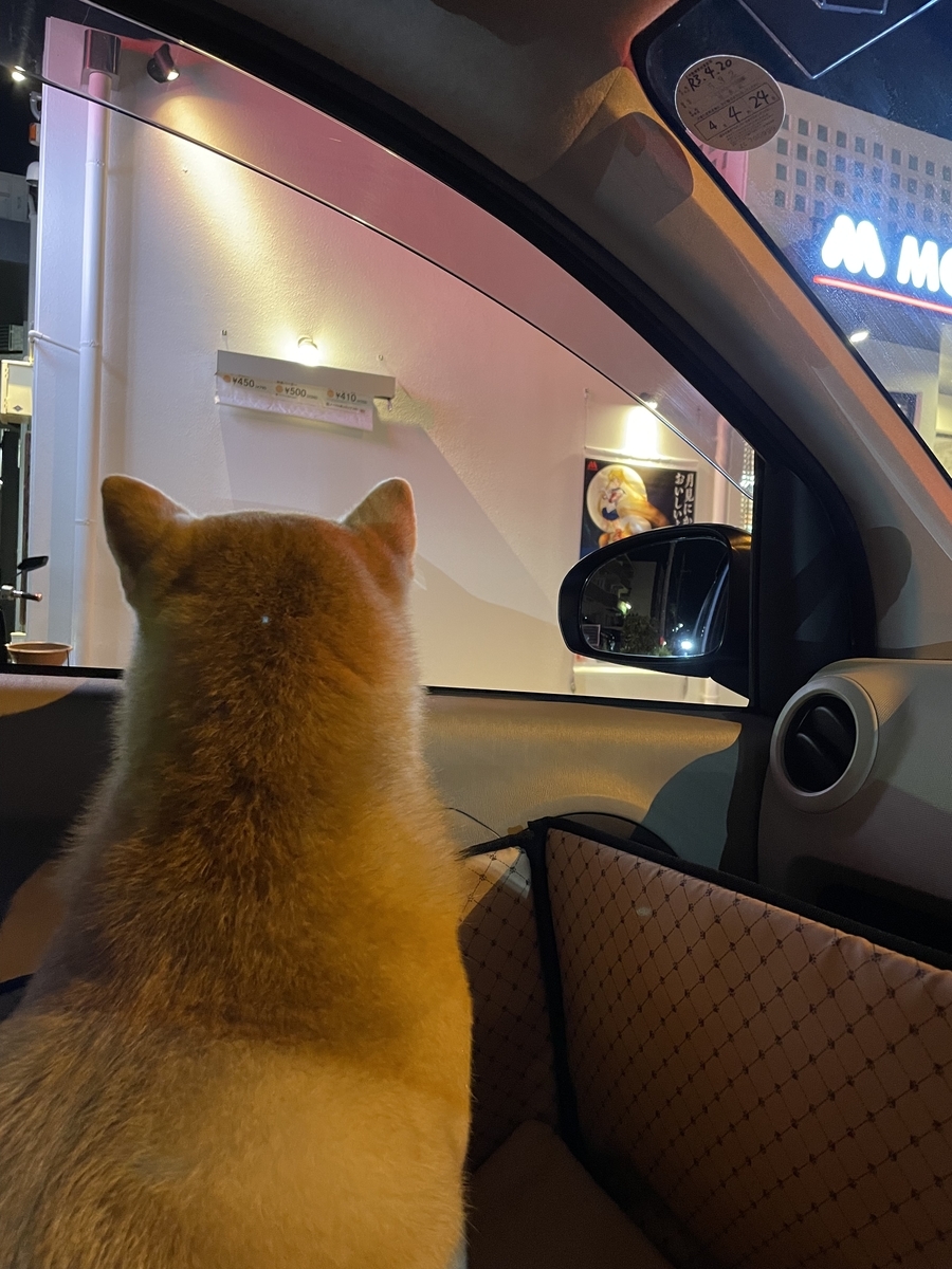 犬の後ろ姿