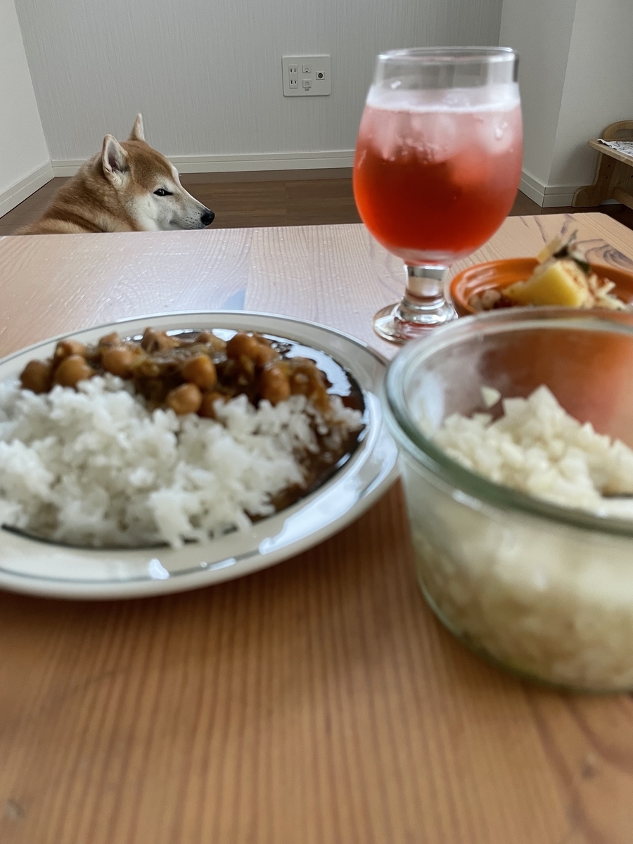 ご飯と犬