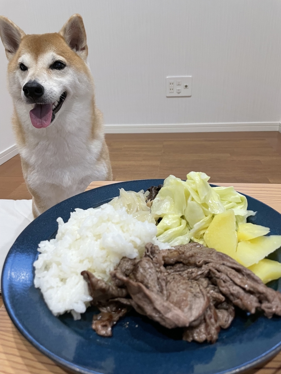 ご飯と犬
