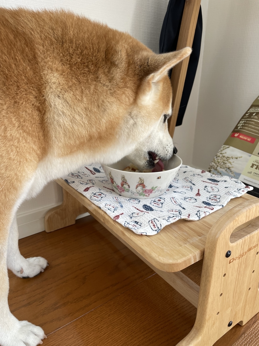 食べる犬