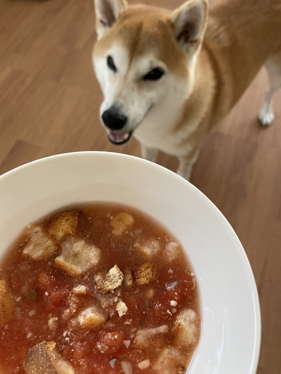 笑う犬