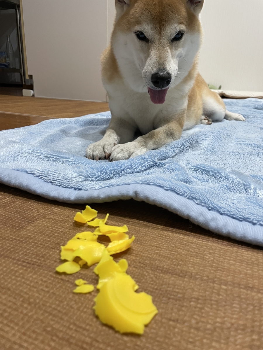 笑う犬