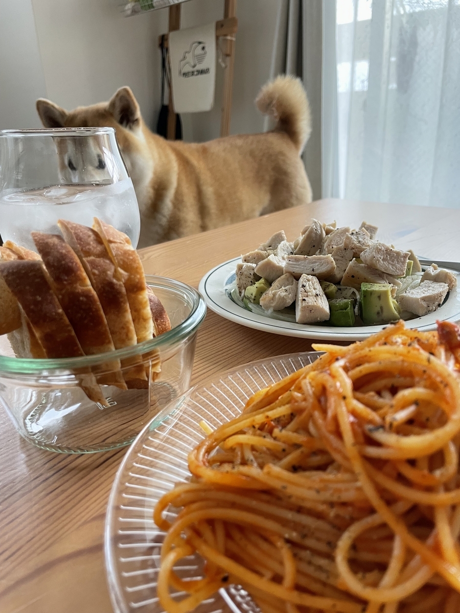 犬とご飯